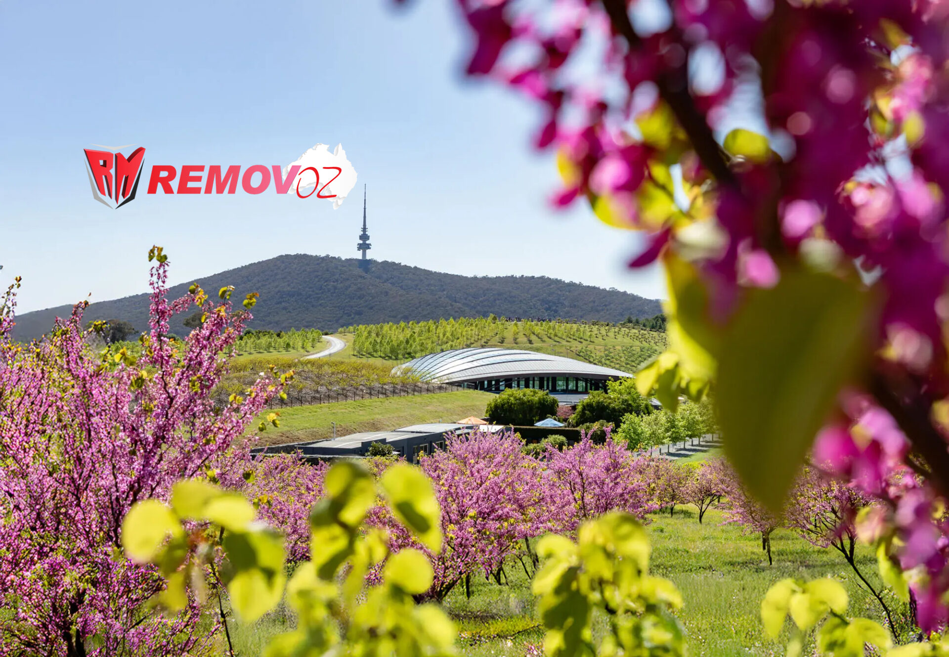 Move to/from Canberra 1 Move from Canberra